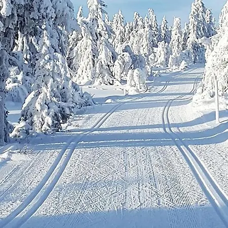 Modern High Standard Ski-in Out Vakantiehuis *