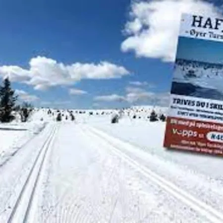 Modern High Standard Ski-in Out