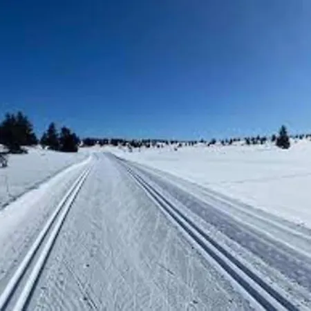 Modern High Standard Ski-in Out Hafjell