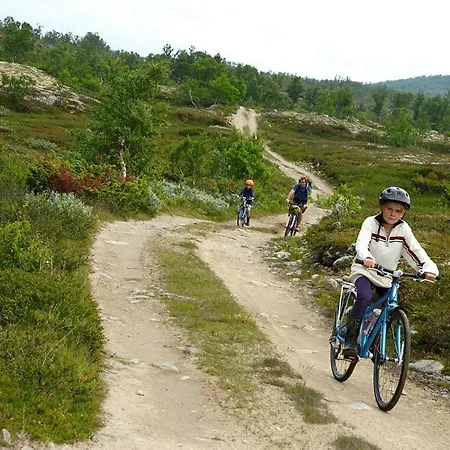 Modern High Standard Ski-in Out Dom wakacyjny Hafjell