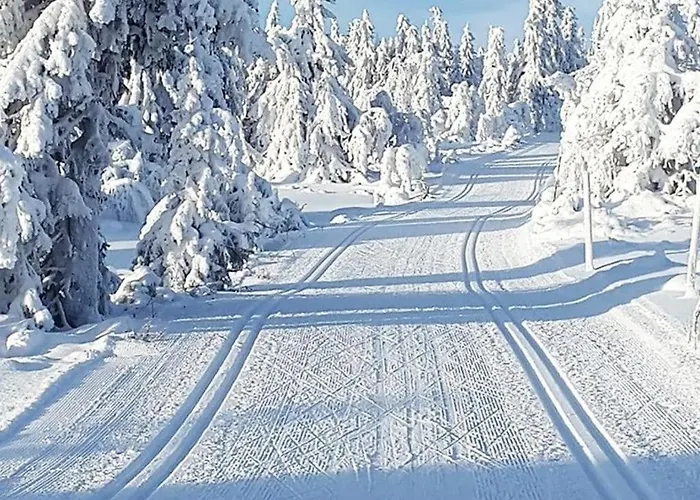 Modern High Standard Ski-in Out 度假居 *