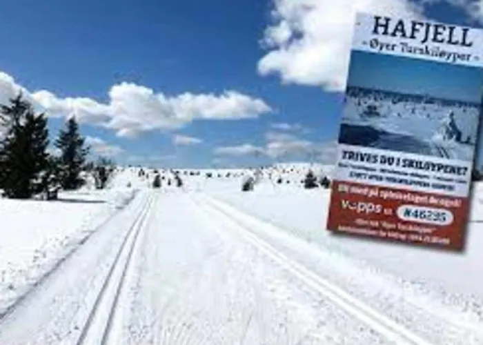 Modern High Standard Ski-in Out