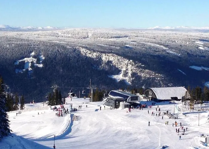 度假居 Modern High Standard Ski-in Out *