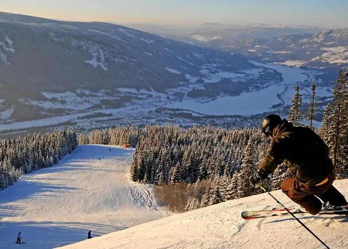 Modern High Standard Ski-in Out 度假居 哈山