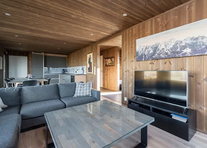 度假居 Modern High Standard Ski-in Out 哈山