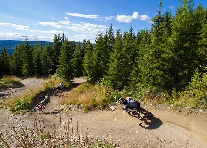 Modern High Standard Ski-in Out *