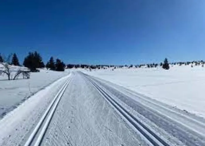 Modern High Standard Ski-in Out 哈山