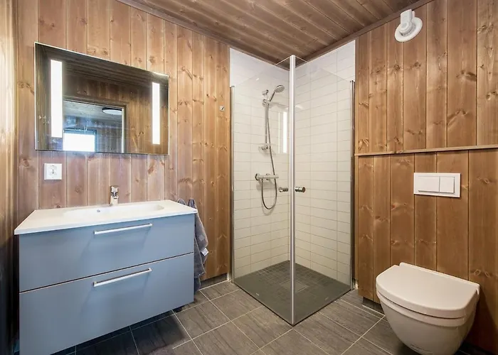 Modern High Standard Ski-in Out Hafjell