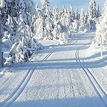 Modern High Standard Ski-in Out בית נופש *