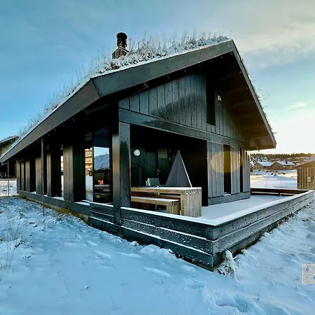 Modern High Standard Ski-in Out